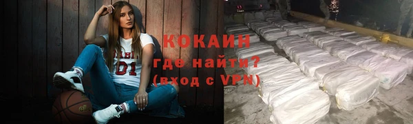 гашик Арсеньев