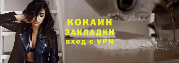 трава Аркадак