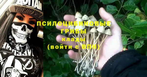 винт Армянск