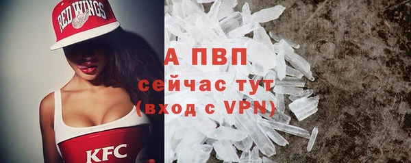 прущие крисы Балахна